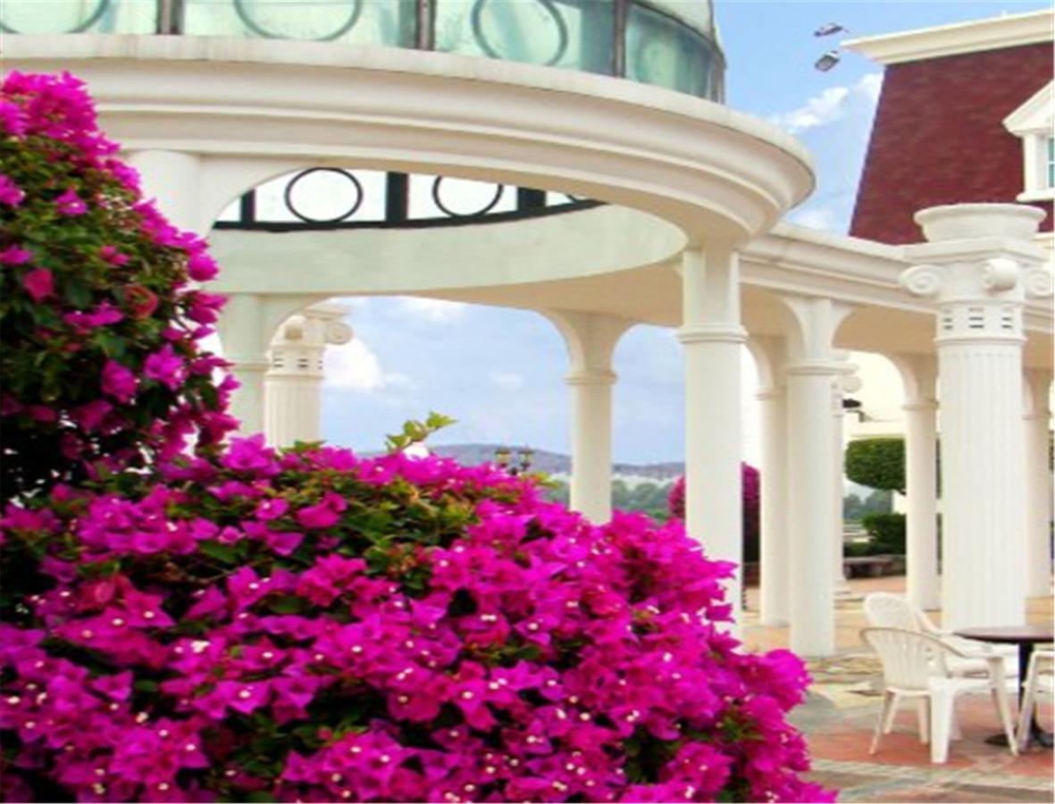פושאן Clifford Golden Lake Hotel מראה חיצוני תמונה